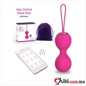 Bolas de Kegel para ejercicio Vaginal, huevo vibrador de silicona, 10 velocidades, bluetooth